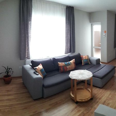 Theresia Apartment Сибиу Экстерьер фото
